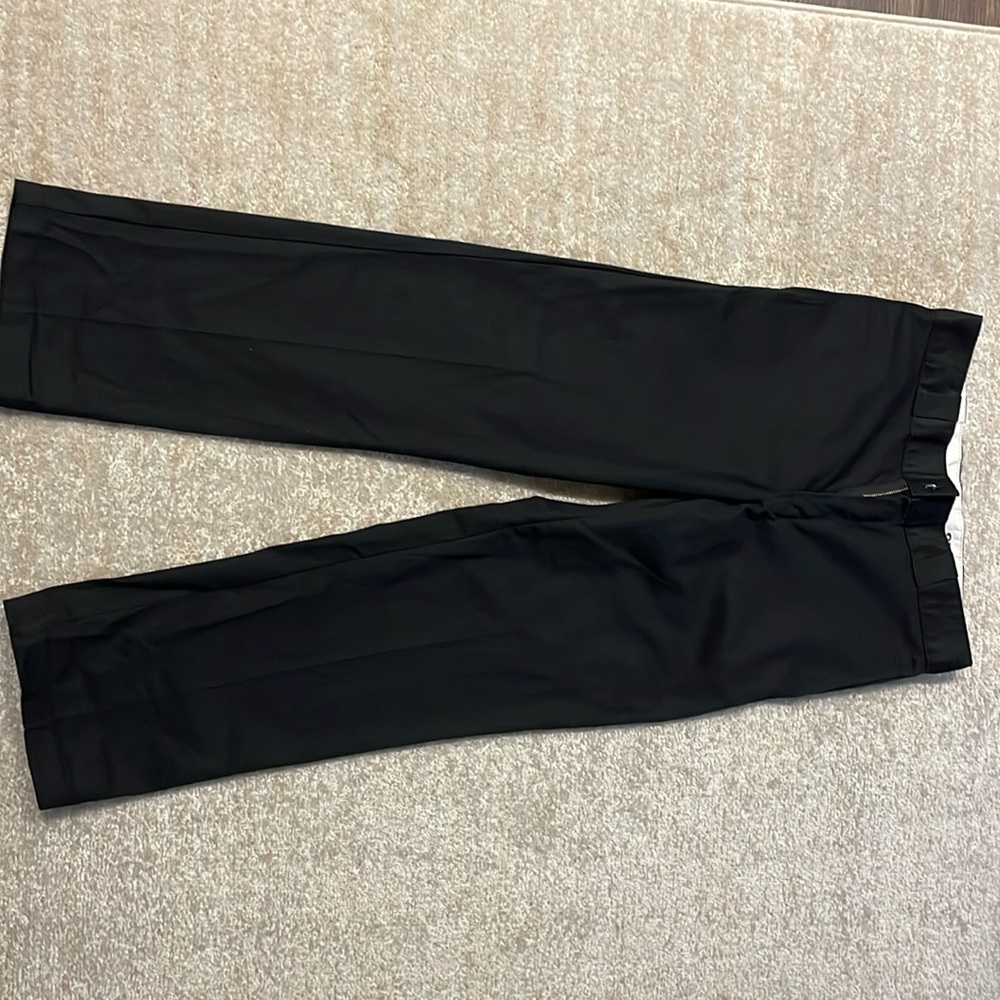 Dickies Flex Ease Work Pants
